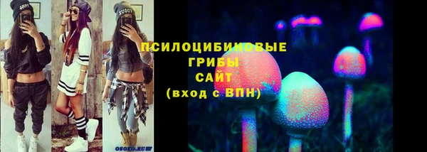 мет Белокуриха
