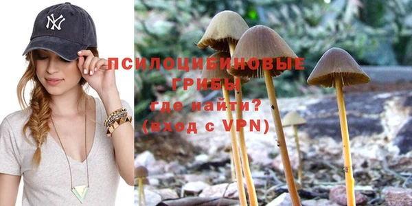 мет Белокуриха