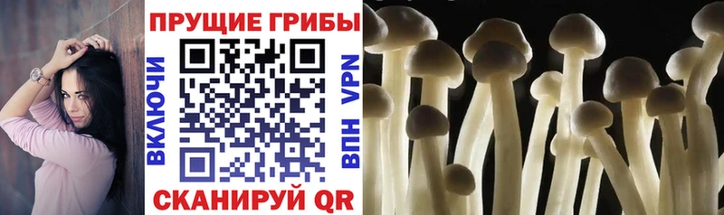 Псилоцибиновые грибы ЛСД дарнет шоп Ворсма